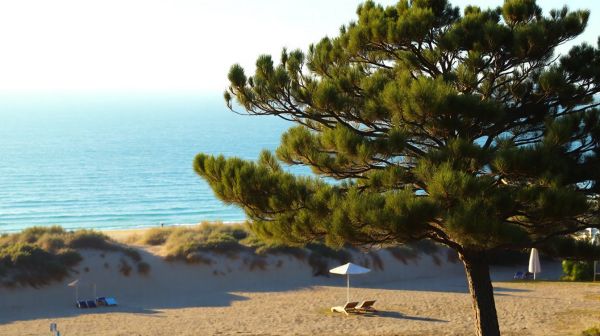 Les meilleurs campings en Vendée : plage et nature à portée