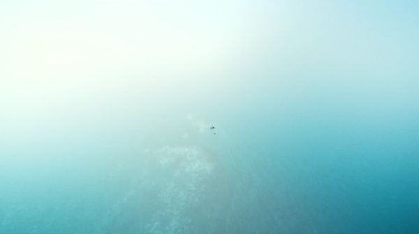 Planifiez votre croisière de rêve avec des offres exceptionnelles !